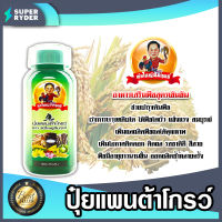 ปุ๋ยน้ำแพนต้าโกรว์ ตราพ่อใหญ่สัมฤทธิ์ ขนาด 500 ml ปุ๋ยเคมีธาตุอาหารเสริม พืชแข็งแรง ปุ๋ยทางใบสูตรเข้มข้น ปุ๋ยข้าว ปุ๋ยเสริม ปุ๋ยน้ำ