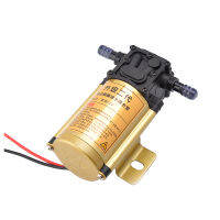 12V 24V electric gasoline diesel pump high-power universal self-priming Golden Silver pump