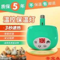 [COD] Breeding insulation piglets with chick rutin chicken parrot brood heating pet heater climbing