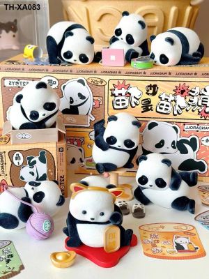 panda rolling is also blind cat kindergarten birthday gift box placed onboard doll hand dolls