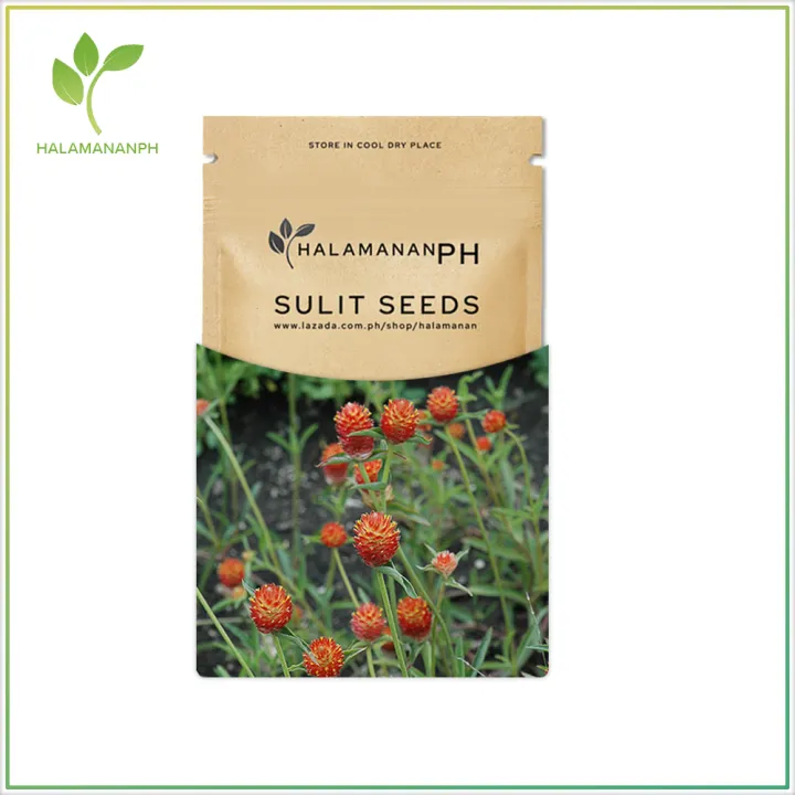 Globe Amaranth Orange 40 Seeds Premium Flower Seeds [Halamanan