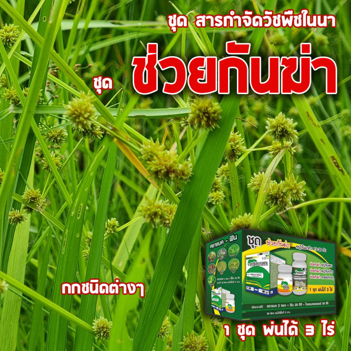 ชุดสารกำจัดวัชพืชในนาข้าว-ชุดช่วยกันฆ่า-ฆ่าหญ้าในนาข้าว