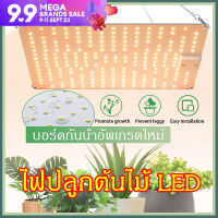 ไฟปลูกพืช 2.8umol/J เต็มสเปกตรัม ไฟปลูกต้นไม้ LED LM281B ไฟปลูก สำหรับการเจริญเติบโตของพืช  เรือนกระจก