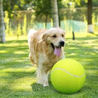 9.5Inch Pet Dog Tennis Ball Help For Training And Behavior Interactive Chewing Plush Toy For Large Medium Dog Accessories Toys