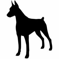 11.9*15.2ซม Doberman Pinscher Dog Window Decoration Vinyl Decal Car Bumper Stickers สีดำ/ เงิน C6-1706