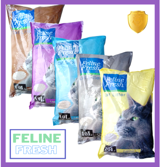 Armour FELINE FRESH Cat Litter Sand 10 Liter Lazada PH