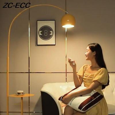 ZC-ECC Modern floor lamp Remote control and bulb