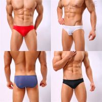 Summer Ice Silk Briefs Low Waist y Slim Underwear 5 Colors