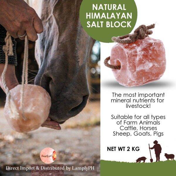 2023 Bagong Taon Promosyon 2kg Animal Himalayan Lick Salt Licking Salt