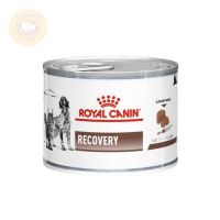 Royal Canin Recovery อาหารสำหรับสุนัขและแมวแบบเปียก สัตว์ป่วยและพักฟื้น 195 g. 12 กระป๋อง