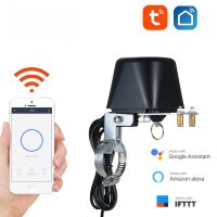 Wifi Zigbee Gas Valve Smart House Water Valve Zigbee Smart Automation Skits Shut Off Controller Smartlife Tuya Assistant