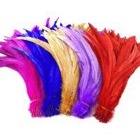 100 ชิ้น/ล็อต 25-45 ซม. Rooster Feathers สำหรับงานฝีมือราคาถูกคริสต์มาส DIY ธรรมชาติไก่หาง Feather ตกแต่งขนนก-final1