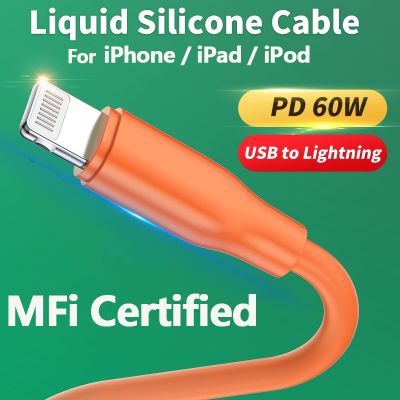 Chaunceybi 60W MFi Certified 2.4A Fast Charging Data Cable iPhone 14 13 12 XS X iPad iPod USB to Lightning Cord