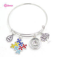 10PCSLOT New Interchangeable Jewelry Crystal Puzzle Autism Charm Wire Expandable Bangle Bracelets for women For Snap Jewelry