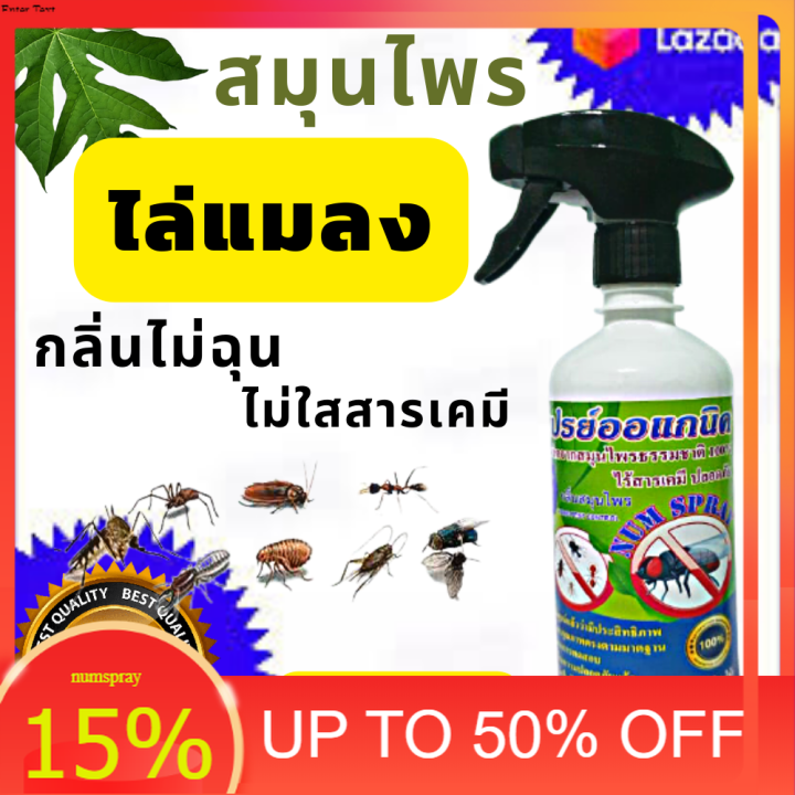 สเปรไล่แมลงวัน-แมลง-มด-ปลวก-ที่มาวุ่นวายกับการกินอาหารหรือประกอบอาหาร-ในครัวหรือร้านอาหาร-แผงค้า-ตลาดสดของค้าดีจริงฯ