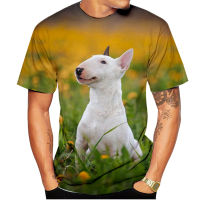 2023 NewMen และสตรีแฟชั่นสบายๆ3D พิมพ์เสื้อยืด Bull Terrier ตลกพิมพ์เสื้อยืด U Nisex แขนสั้นท็อปส์ XXS ~ 6XL