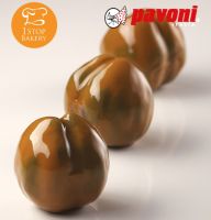 Pavoni AF007 Mould Marron Cedric Grolet/พิมพ์ซิลิโคนเกาลัด