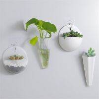 Wall-mounted Pot Hydroponics Flower Pot Wall Hanging Fish Tank Hanging Vase Aquarium Container Flower Planter Pots