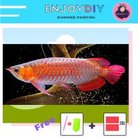 ครอสติสคริสตัล 5d diy diamond painting แบบเม็ด ลาย ปลามังกร 3 ติดเต็ม เม็ดกลม แถมชุดพื้นฐาน พร้อมส่งพรุ่งนี้ มีประกันเม็ดสีเติมฟรี EnjoyDIY