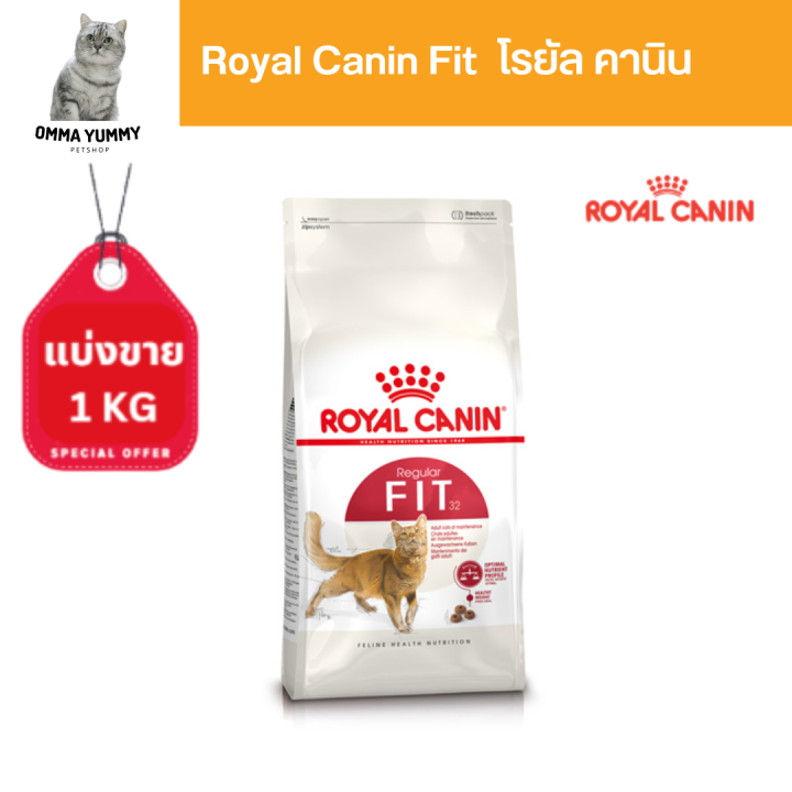 royal-canin-fit-1kg-อาหารเม็ดแมวโต-รูปร่างดี-อายุ-1-ปีขึ้นไป-dry-cat-food-โรยัล-คานิน