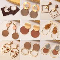 New Korean Statement Earrings for Women Brown Arcylic Geometric Dangle Drop Earring Brincos 2020 Trend Fashion Jewelry Gifts