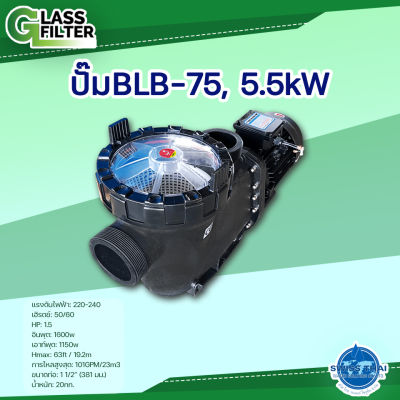 Pump BLB-75 , 5.5kW - ปั๊มรุ่น BLB-75, 5.5kW ( By Swiss Thai Water Solution )