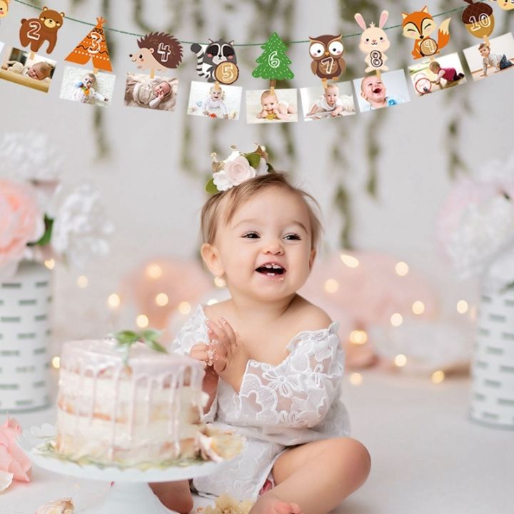 1-12-month-photo-banner-woodland-photo-banner-happy-birthday-party-decor-baby-shower-1st-birthday-boy-girl-12-month-photo-banner