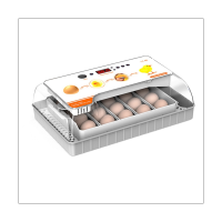 20 Pcs Eggs Incubator Mini Eggs Incubator Household Automatic Incubator Farm Chicken Bird Incubator