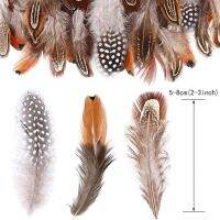 60Pcs Pheasant Feathers for Crafts Jewelry Making Accessories Decoration Peacock Plumes 5-8CM Wholesale