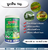 บูเวริน 1kg. บิวเวอร์เรีย บัสเซียน่า บูเวเรีย สารชีวภัณฑ์ สารกำจัดแมลง อินทรีย์ เพลี้ยไฟ แมลงหวี่ขาว เพลี้ยกระโดดสีน้ำตาล เพลี้ยอ่อน