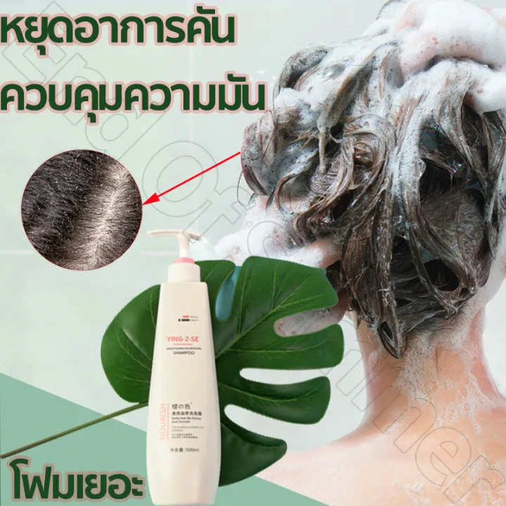 ⚡พร้อมส่งจากกรุงเทพค่ะ ⚡YING-Z-SE 500ML แชมพูเชื้อรา บรรเทาอาการคันหนัง ...