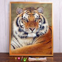 【hot】☊  Tiger Printed 11CT Set Embroidery DMC Threads Painting Hobby Handicraft Promotions  Design