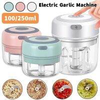 100/250ml Wireless Electric Garlic Masher Press Stirrer Chopper Rechargeable Onion Multi-function Processor Kitchen Accessories