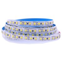 [Ricky Lighting] 12 V 120 Led/m 5เมตร/ล็อต2835 LED Strip แสงที่มีความยืดหยุ่นสีขาวอบอุ่นสีขาวสีเขียวสีเหลืองสีแดงสีฟ้า2835ไม่กันน้ำ LED Strip