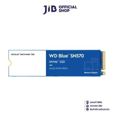 250 GB SSD (เอสเอสดี) WD BLUE SN570 - PCIe 3/NVMe M.2 2280 (WDS250G3B0C)