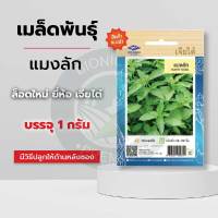 เมล็ดแมงลัก Thai Hairy Basil ผักซอง เจียไต๋ ล็อตใหม่ เมล็ดผัก เมล็ดพืช เมล็ดพันธุ์ ผักสวนครัว บรรจุ 1 กรัม.