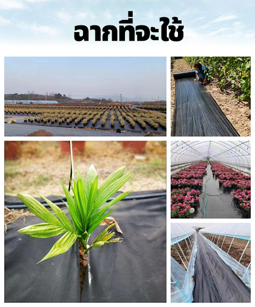 พลาสติกคลุมดิน-พลาสติกคลุมแปลง-ผ้าคลุมวัชพืช-พลาสติกคลุมวัชพืช-ทนทาน-ซึมผ่านได้-ป้องกันวัชพืช2x50-3x50-1x100-1-5x100-2x100-คลุมแปลงเกษตร-คลุมวัชพืช-ผ้าควบคุมวัชพืช-ผ้ากำจัดวัชพืช-พลาสติกคลุมหญ้า-พลาสต