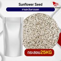 ทานตะวันขาวนอก White Sunflower เหมาะสำหรับนก กระต่าย หนู กระต่าย กระรอก ชูก้า และสัตว์ฟันแทะ (กระสอบ 25KG)