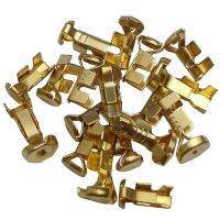 【YF】□❀  50 Pcs / Wire Harness Crimp Terminal Fuse Holder Contact DJ9007A Gold 5x20mm 6X30mm