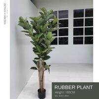 Artificial Rubber Tree - ต้นยางเสมือนจริง สูง180 CM ต้นไม้ประดิษฐ์เกรดพรีเมี่ยม ต้นไม้ปลอมใหญ่ Premium artificial plant for decoration #Fig tree #Madam Khajee