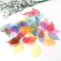 【cw】 50 Pcs Mixed ColorSkeleton Leaves Pressedfor Jewelry Making