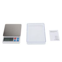 Electronic Scales Portable Electronic Balance 2KG/0.1g Scales for Jewelries Medicine Luggage Scales