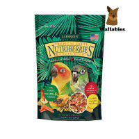 Lafeber Tropical Fruit Nutri-Berries for Conures (284g.) อาหารนกคอร์นัวทรอพพิคอลและเบอร์รี่รวมเกรดพรีเมี่ยมออร์แกนิค