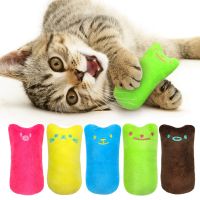 [New pet products]ของเล่นแบบโต้ตอบของเล่นแคทนิปแมวสำหรับลูกบอลหนูแมวลูกแมวตุ๊กตาหนูอุปกรณ์ฝึกเล่นเกมส์สำหรับสัตว์เลี้ยง BF0001