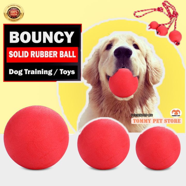 Pet Dog Toy Solid Rubber Bouncy Ball