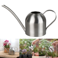 Succulent Watering Device Stainless Steel Kettle Flower Gardening Tool Can Outdoor