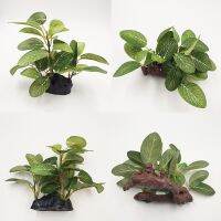 New Hot Plastic Aquarium Plant Decor Fish Tank Submersible Artificial Grass Aquarium Decoration Ornament 1piece