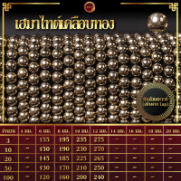 เฮมาไทต์เคลือบทอง | Gold-Coated Hematite (เส้นยาว 39 ซม.)