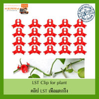 อุปกรณ์ LST สำหรับดัดต้นไม้ ช่วยเพิ่มผลผลิต lst clip คลิปโน้มต้นไม้