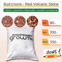 ?ส่งฟรี?หินภูเขาไฟสีแดง หินลาวาแดง หินทรายสีแดง RED VOLCANIC STONE